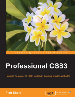 Professional_CSS3.pdf